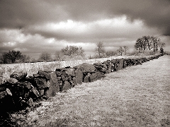 Rhode Island Wall Somewhere in RI � Dave Hickey
